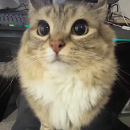 優しさ。 - steam id 76561199739491803