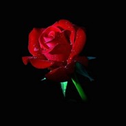 精焊耐用小刚炮