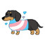 Transbian Puppygirl :3