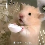 赏口饭吃吃吧NIKO