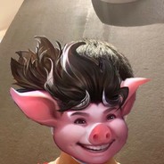 爱打游戏的小何