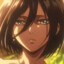 mikasa