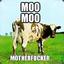 ~MooMooCow~