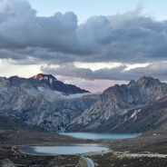 满池的王八我壳最绿