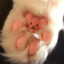 Toe Beans