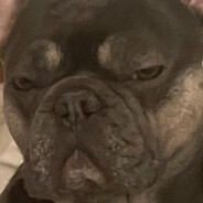 Dior - steam id 76561198328648598