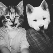 心疼打野是傻逼