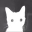 Gato Flasheado