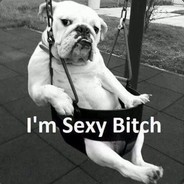 I'm Sexy Bitch