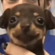 Snuffy0_0's avatar