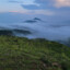 a15630887672