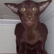 lumie