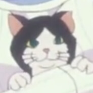 Gato Chicletudo