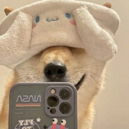 星际迷航-史迪仔