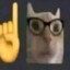 GILBOB