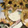 greebon