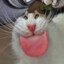 .now ᴘʟᴀʏɪɴɢ: Who Asked