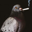 bird smoker