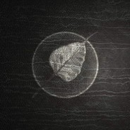 不知为何就想改个名字