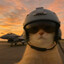 Pilot Cat