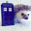 Hedgehog-From-Outerspace