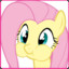 Fluttershy