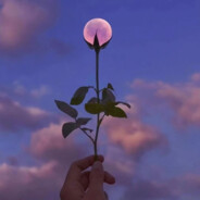 想想DANKING怎么做