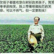 今天我作为一个长者