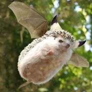 李时珍的皮皮虾