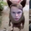 сиська