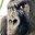 benis avatar