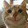 pixel