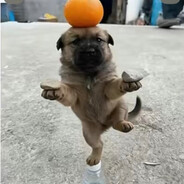 Funnny