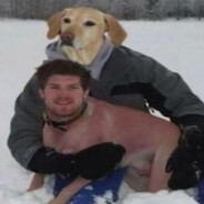 Гном у буфеті