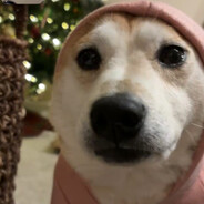 Doge