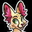 Kitcat the Serval