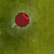 春夏秋冬又一春