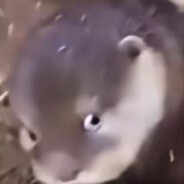 抽电子香烟得赛博肺癌