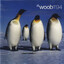 EM:T - Woob 1194