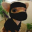 Ninja Dog