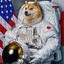 SPACE DOGE