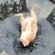 飞飞飞飞飞飞飞