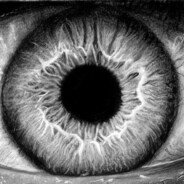 𝓐𝓵𝓵𝓢𝓮𝓮𝓲𝓷