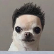 Stumi avatar