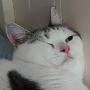 麥當勞漢堡houhouhou