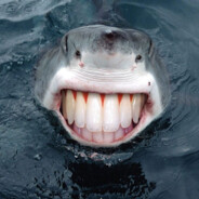 зубіла - steam id 76561199558262477