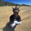 Lil Uzi Vert