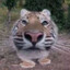きちゃぷまん
