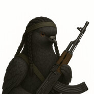 Pomba Negra