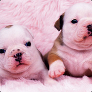 凉城以北深海未眠